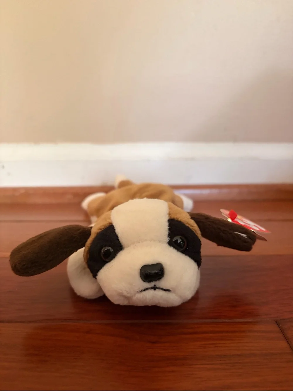 “Bernie” Beanie Baby